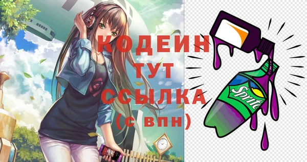 метадон Няндома