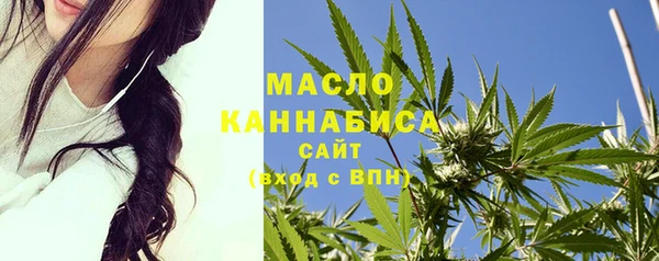 метадон Няндома