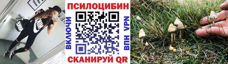 купить наркоту сайты даркнета Telegram Псилоцибиновые грибы GOLDEN TEACHER Поворино